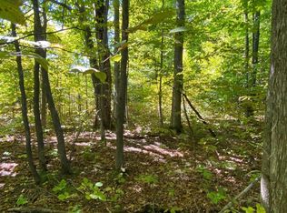 Yacks Dr, Beulah, MI 49617