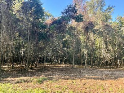 Halls Crossroads Rd, Monroeville, AL, 36460