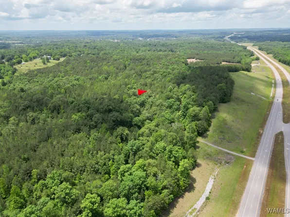 0 Highway 82, Centreville, AL 35042