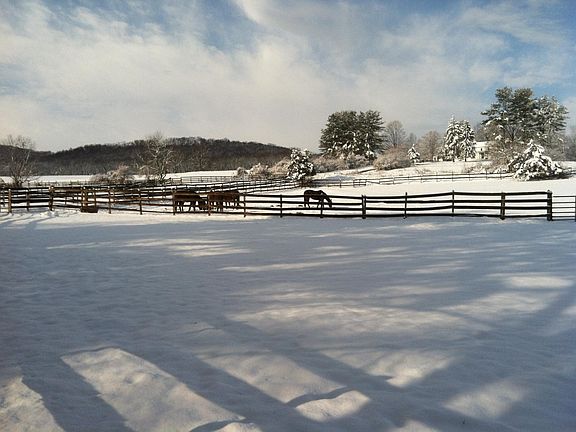 View from Living Room