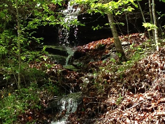 Waterfall on the property 