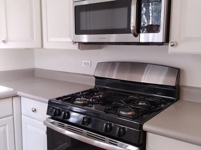 828 W Altgeld St #1 — Photo 3