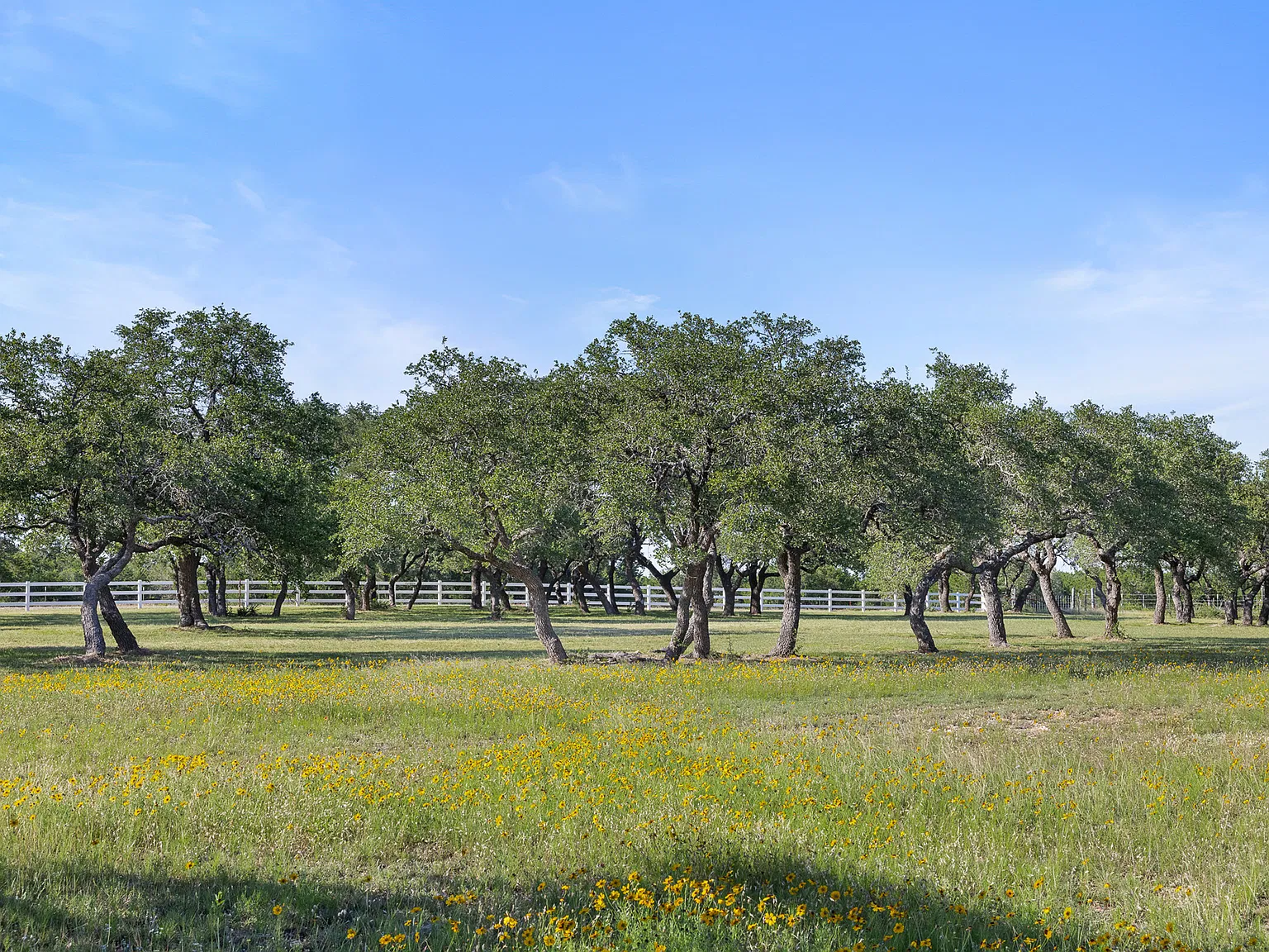 4 bed, 2645 sqft, $3,000 — Photo 3