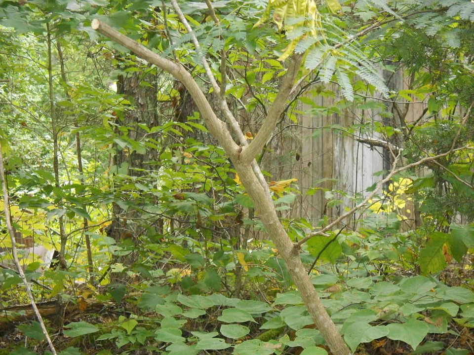 2nd image of 6 Mile Rd