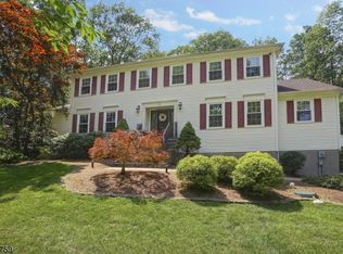 3 Fern Ct, Flanders, NJ 07836