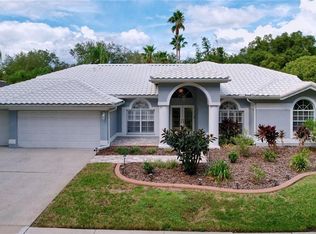 9359 Wellington Park Cir, Tampa, FL 33647
