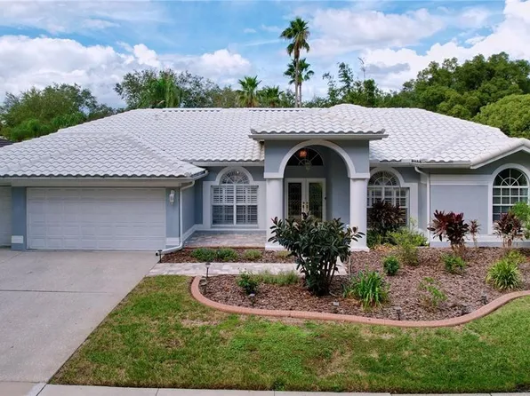9359 Wellington Park Cir, Tampa, FL 33647