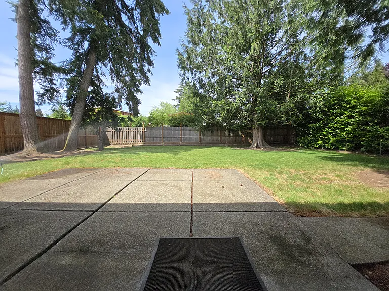 Backyard & Patio