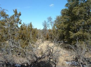 245 E South Rim Ranch Rd, Williams, AZ 86046