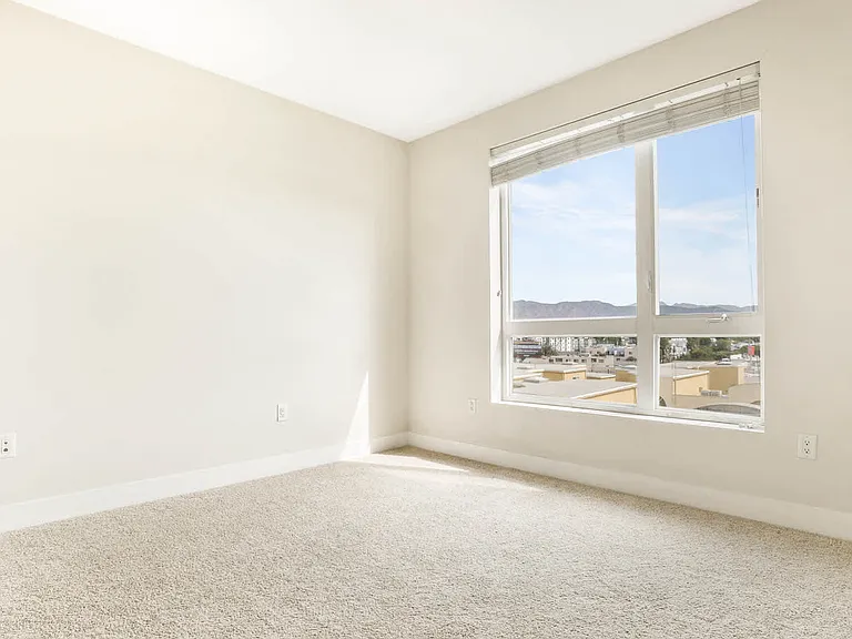 Carpeted Bedroom