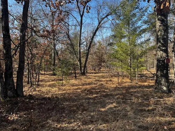 N Forman Rd, Baldwin, MI 49304