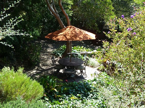 The Terrace Patio sits beneath an old acacia tree adjacent to the lower pond.