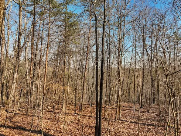 9 Mount Mincie Rd, Murrayville, GA 30564