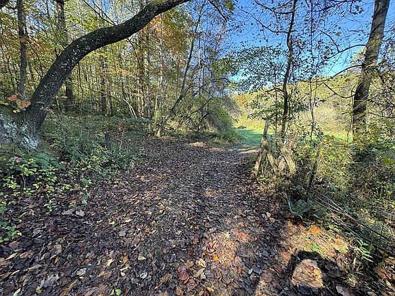 2nd image of 0 Saffron Ln