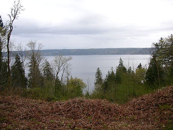 View from Top