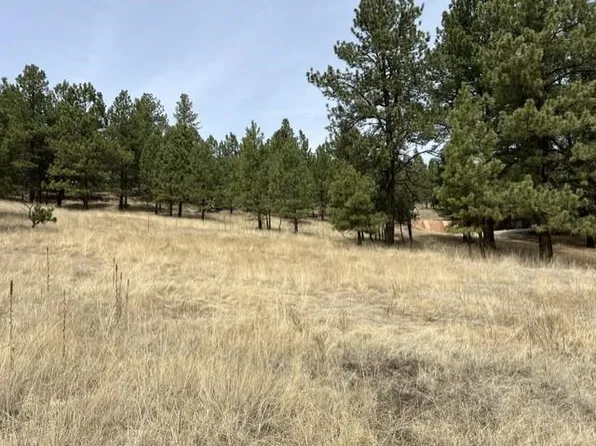 1066A Woodlands Dr, Angel Fire, NM 87710