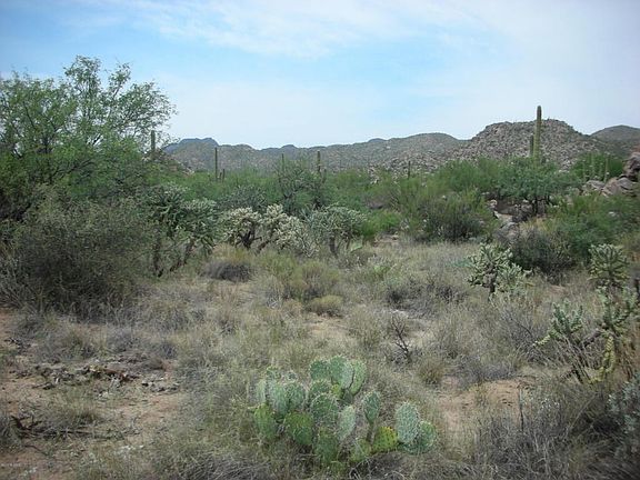 3rd image of 1218 W Tortolita Mountain Cir