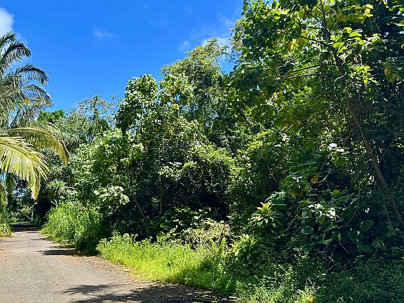 2nd image of Papaya Farms Rd Lot 9