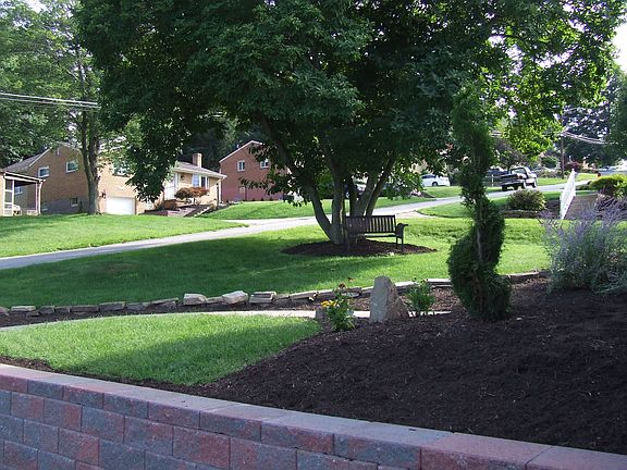 Front yard