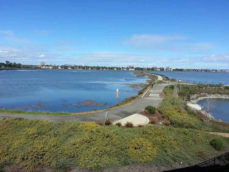 View from Master Bedroom