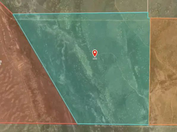 00 County Road 7, Fairplay, CO 80440