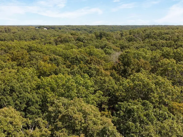 000 Bear Hollow Lane, Fordland, MO 65652