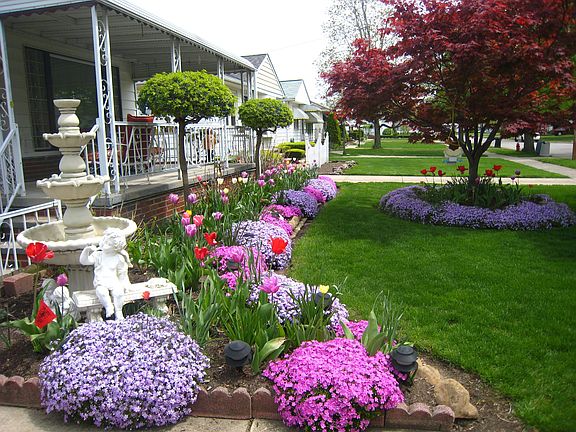 Spring front yard