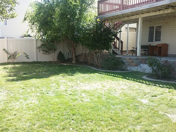 back yard