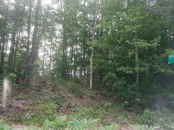 3rd image of LOT 5 Sandy Pond North