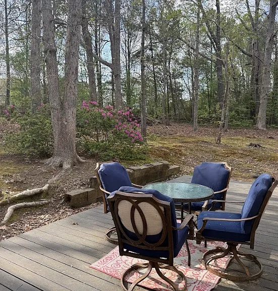 Large and quiet backyard