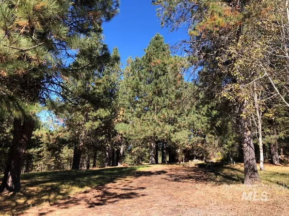 428 Hartley Rd, Cascade, ID 83611