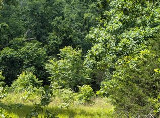 102 N Basswood Ln, Horseshoe Bend, AR 72512