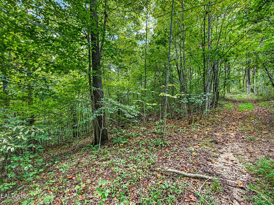 1st image of 25 Timber Ridge Ln