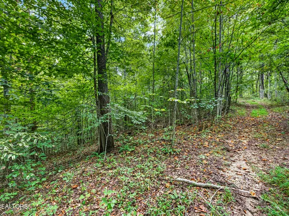 25 Timber Ridge Ln, Celina, TN 38551