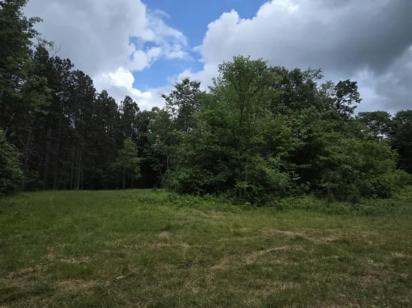 Tower Rd, Athelstane, WI 54104