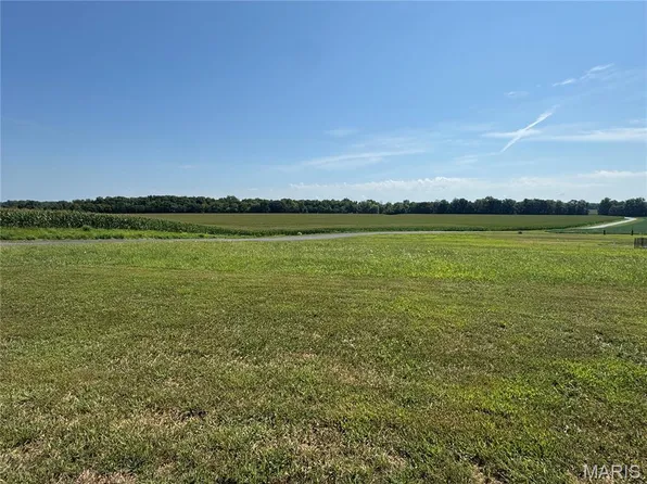 3402 Arbor View Ct, Freeburg, IL 62243