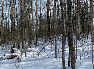 Lakeview Rd, Mayfield, NY 12117