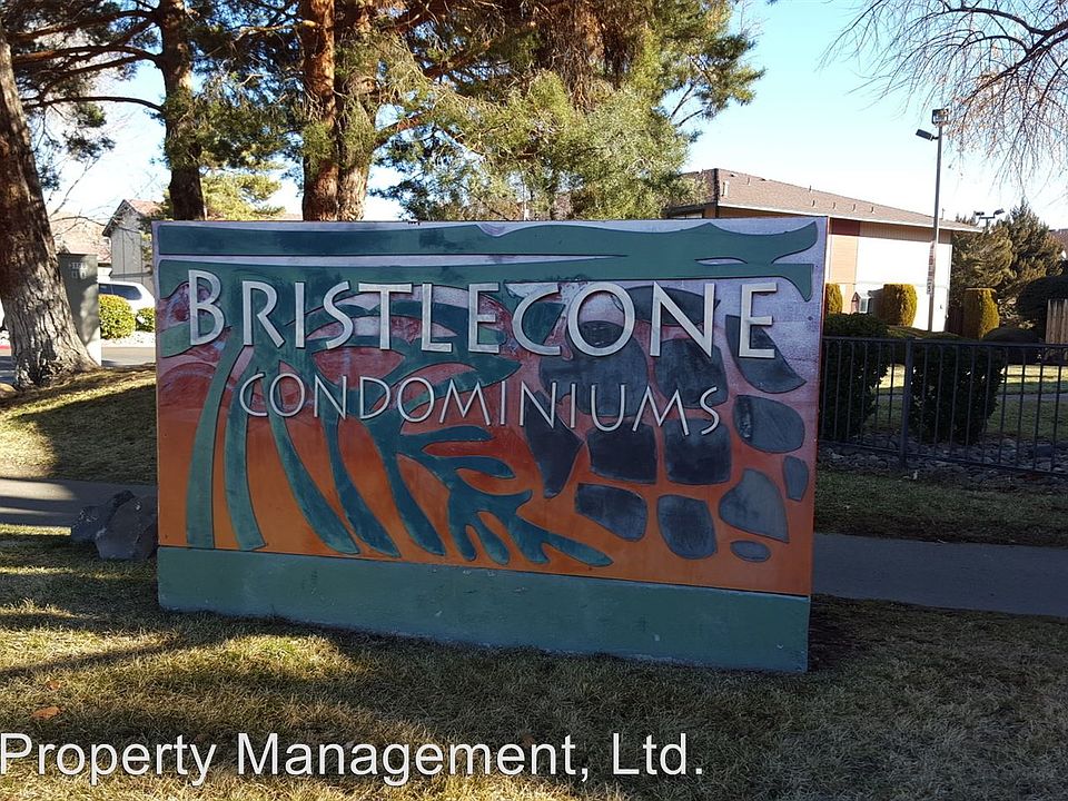 1st image of 3126 Bristle Branch Dr