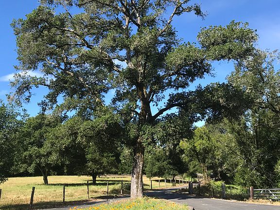 4th image of (Undisclosed Address)