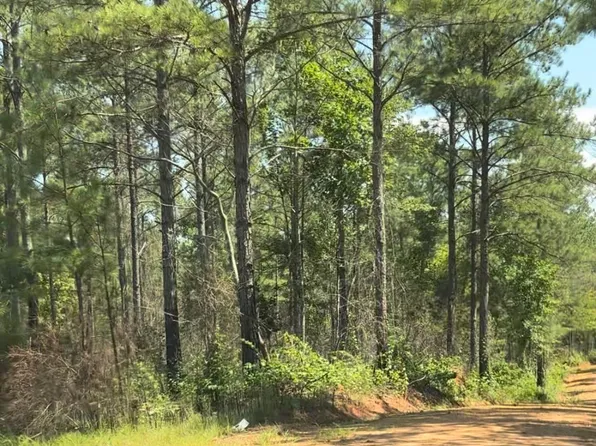 County Road 831 Tract #1, Wadley, AL 36276