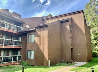 373 Wild Irishman Rd #15102, Keystone, CO 80435