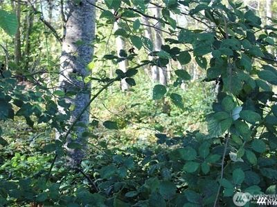 3085 W Maplewood Avenue, Bellingham, WA, 98225