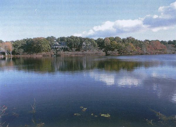 Canoe Pond