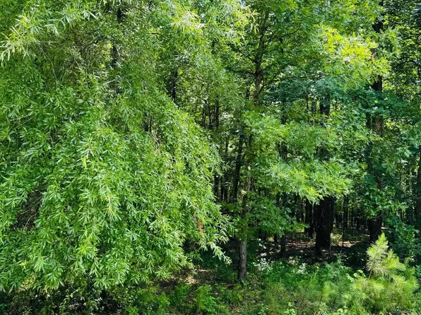 (undisclosed Address), Heber Springs, AR 72543