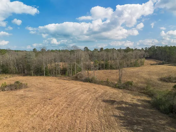 0 Fruitland Park Rd, Wiggins, MS 39577