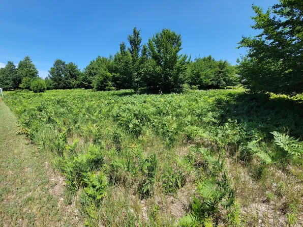 Eagle Ridge Cir Lot 121, Onekama, MI 49675