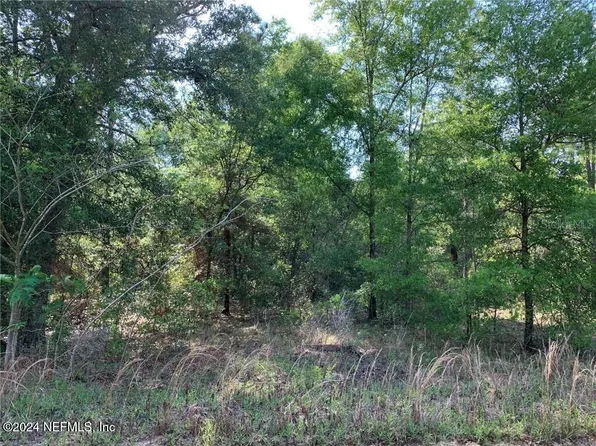 TBD NE 156TH Terrace, Williston, FL 32696