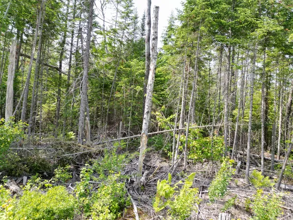 Lot 1,2, 11,12 Off Fogg Brook Road, Lowell, ME 04493