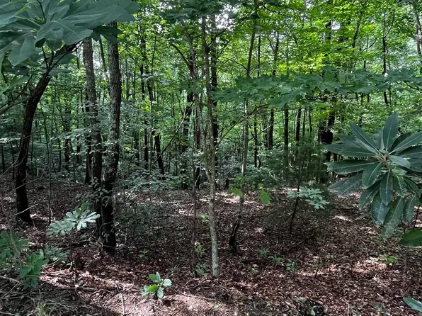 0 Cliff Ridge Dr Lot 253, Cleveland, SC 29635