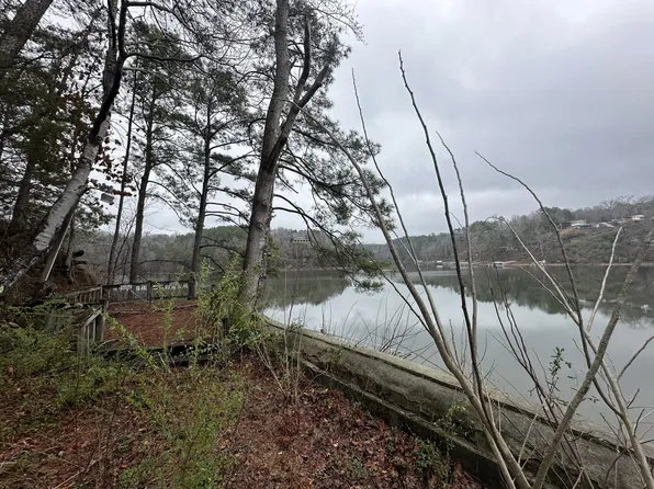 County Road 206, Arley, AL 35541